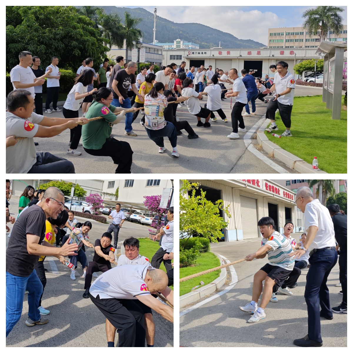 活力绽放·凝聚力量｜厦门标准砂开展趣味运动会