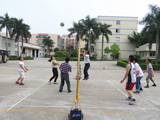 标准砂公司组织“五四”青年节气排球赛