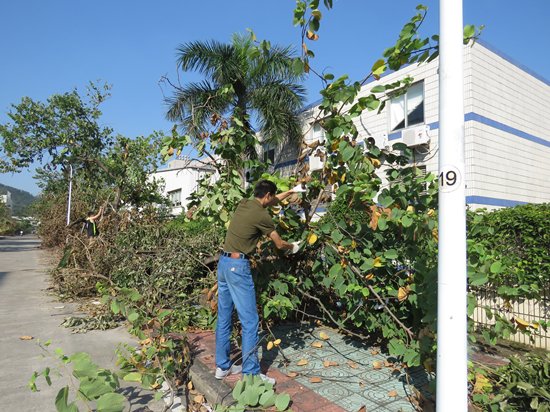 厦门标准砂公司众志成城抗击台风“莫兰蒂”
